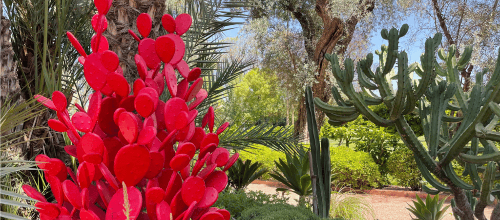 Les jardins de la Mamounia - Marrakech - mamounia - hôtel mamounia - palace Marrakech -